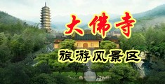 逼庠死了,快操烂我的逼的视频中国浙江-新昌大佛寺旅游风景区